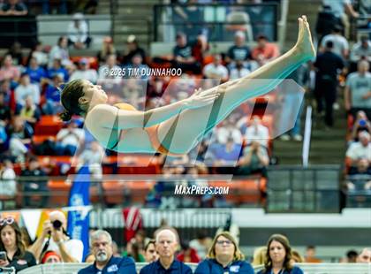 Thumbnail 2 in UIL 6A Swimming & Diving Finals (Diving) photogallery.