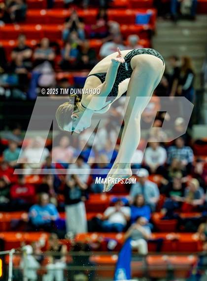 Thumbnail 1 in UIL 6A Swimming & Diving Finals (Diving) photogallery.