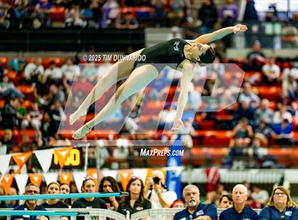 Thumbnail 3 in UIL 6A Swimming & Diving Finals (Diving) photogallery.
