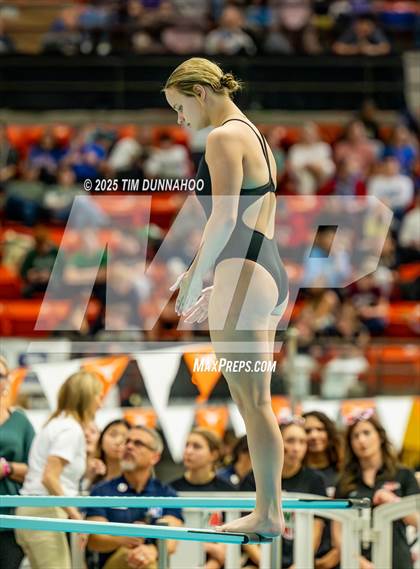 Thumbnail 3 in UIL 6A Swimming & Diving Finals (Diving) photogallery.