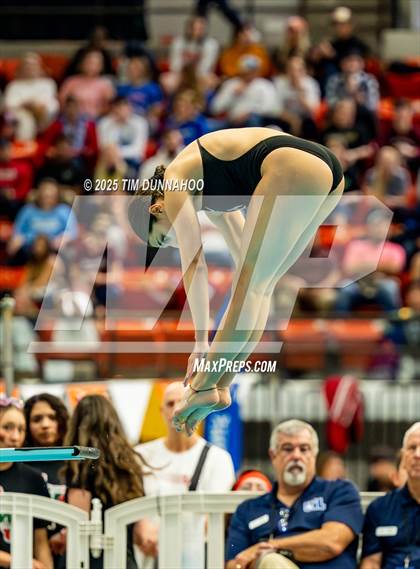 Thumbnail 1 in UIL 6A Swimming & Diving Finals (Diving) photogallery.