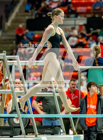 Thumbnail 2 in UIL 6A Swimming & Diving Finals (Diving) photogallery.