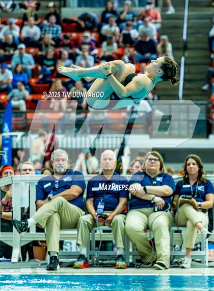 Thumbnail 1 in UIL 6A Swimming & Diving Finals (Diving) photogallery.
