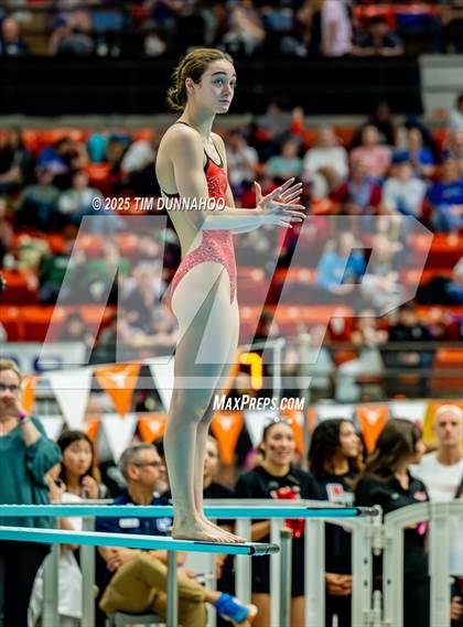 Thumbnail 3 in UIL 6A Swimming & Diving Finals (Diving) photogallery.