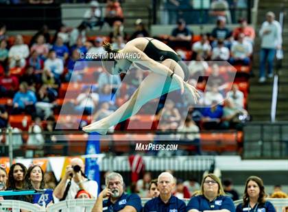 Thumbnail 1 in UIL 6A Swimming & Diving Finals (Diving) photogallery.