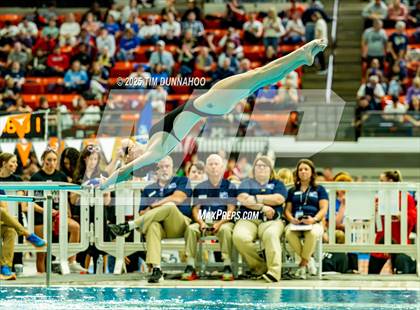 Thumbnail 1 in UIL 6A Swimming & Diving Finals (Diving) photogallery.