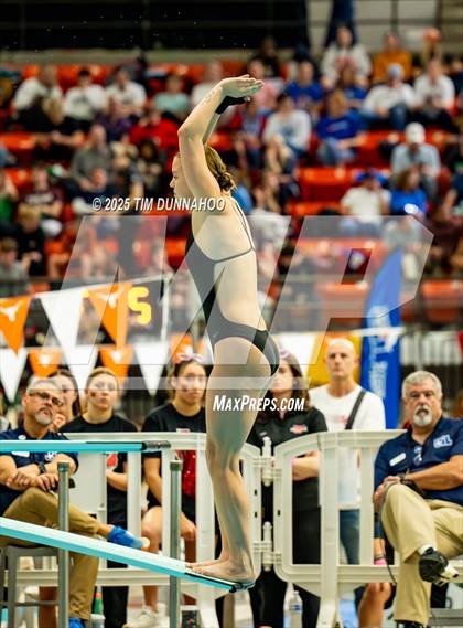 Thumbnail 2 in UIL 6A Swimming & Diving Finals (Diving) photogallery.