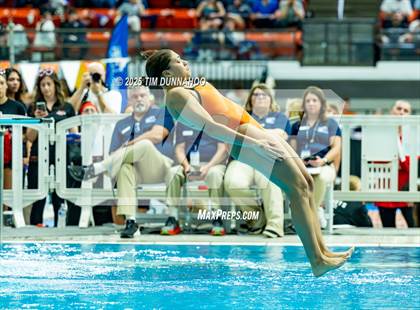 Thumbnail 1 in UIL 6A Swimming & Diving Finals (Diving) photogallery.