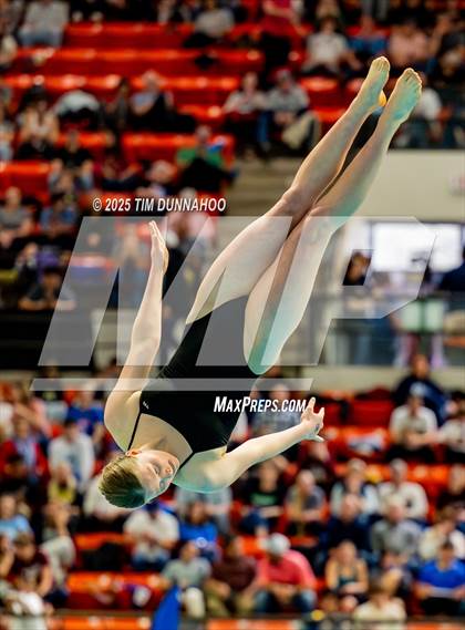 Thumbnail 2 in UIL 6A Swimming & Diving Finals (Diving) photogallery.