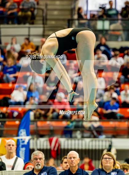 Thumbnail 1 in UIL 6A Swimming & Diving Finals (Diving) photogallery.