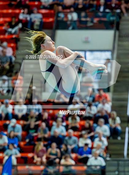 Thumbnail 3 in UIL 6A Swimming & Diving Finals (Diving) photogallery.