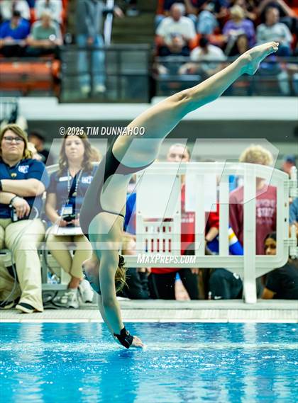 Thumbnail 3 in UIL 6A Swimming & Diving Finals (Diving) photogallery.