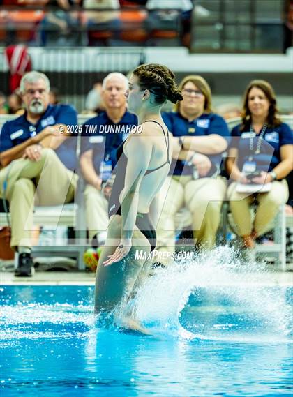 Thumbnail 1 in UIL 6A Swimming & Diving Finals (Diving) photogallery.