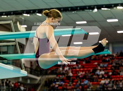Thumbnail 3 in UIL 6A Swimming & Diving Finals (Diving) photogallery.