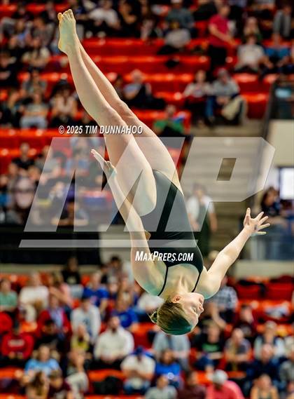 Thumbnail 3 in UIL 6A Swimming & Diving Finals (Diving) photogallery.