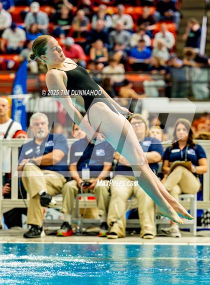 Thumbnail 3 in UIL 6A Swimming & Diving Finals (Diving) photogallery.