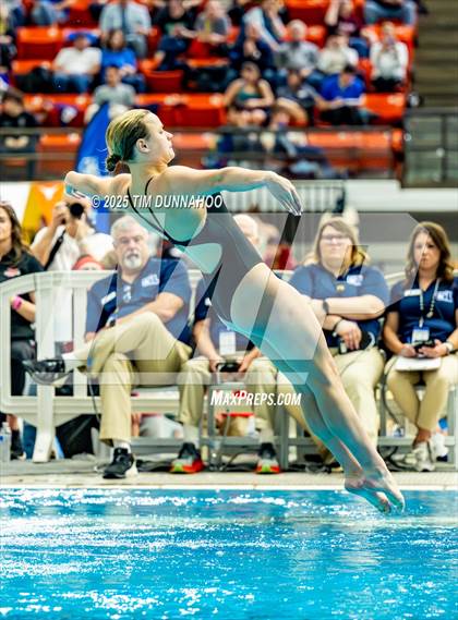 Thumbnail 2 in UIL 6A Swimming & Diving Finals (Diving) photogallery.