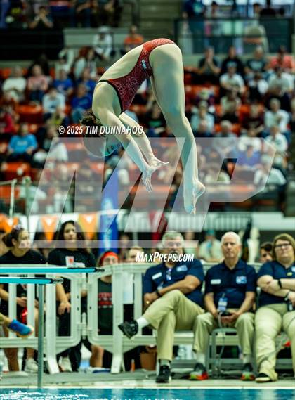 Thumbnail 1 in UIL 6A Swimming & Diving Finals (Diving) photogallery.