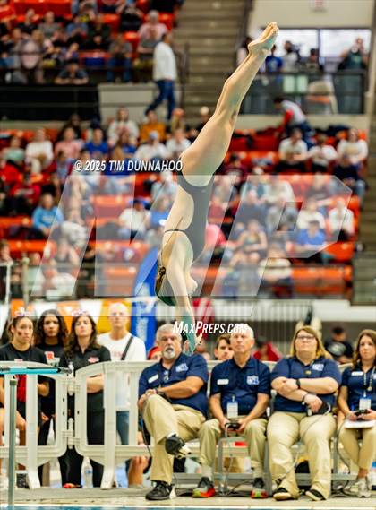 Thumbnail 2 in UIL 6A Swimming & Diving Finals (Diving) photogallery.