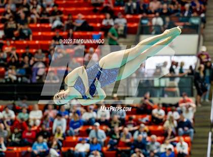 Thumbnail 2 in UIL 6A Swimming & Diving Finals (Diving) photogallery.