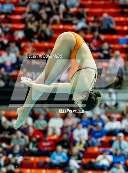 Thumbnail 1 in UIL 6A Swimming & Diving Finals (Diving) photogallery.