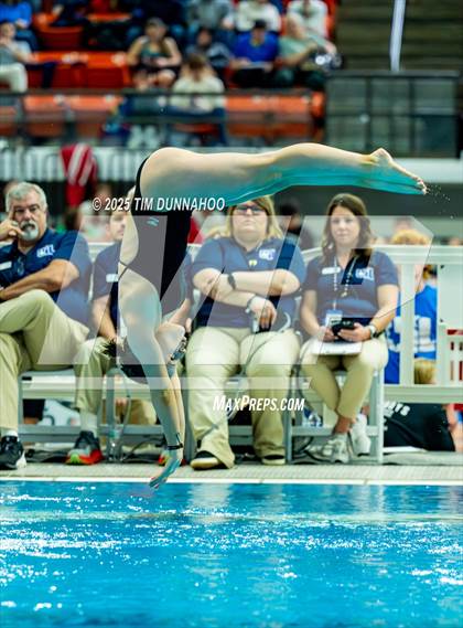 Thumbnail 3 in UIL 6A Swimming & Diving Finals (Diving) photogallery.