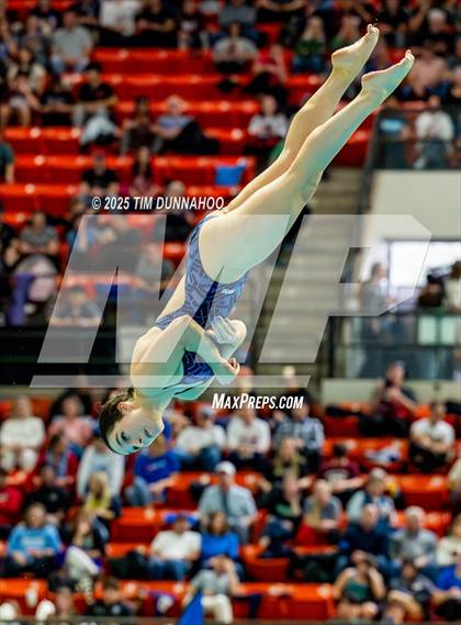Thumbnail 1 in UIL 6A Swimming & Diving Finals (Diving) photogallery.