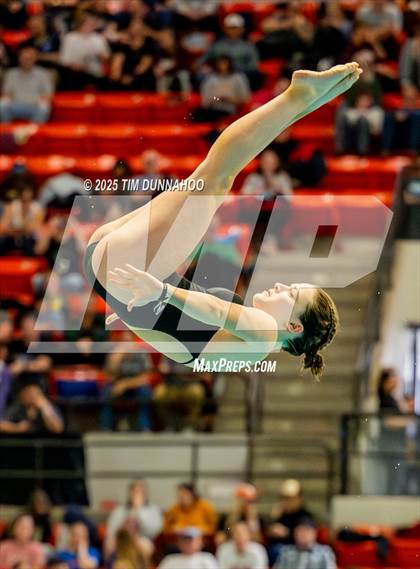 Thumbnail 2 in UIL 6A Swimming & Diving Finals (Diving) photogallery.