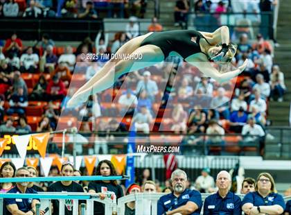 Thumbnail 3 in UIL 6A Swimming & Diving Finals (Diving) photogallery.
