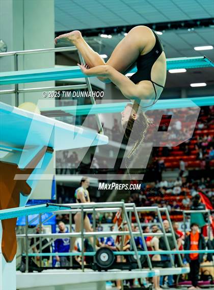 Thumbnail 1 in UIL 6A Swimming & Diving Finals (Diving) photogallery.