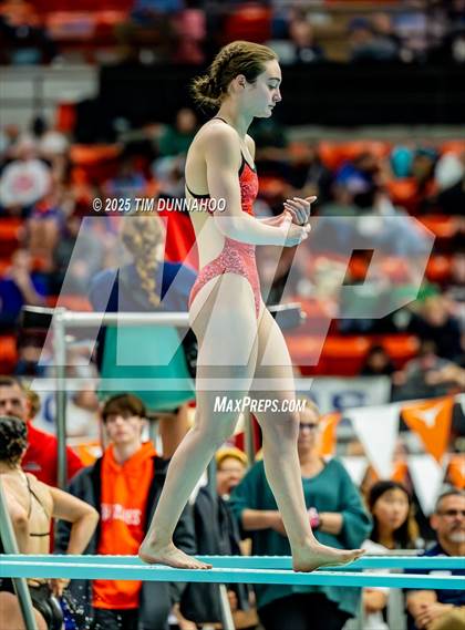 Thumbnail 2 in UIL 6A Swimming & Diving Finals (Diving) photogallery.