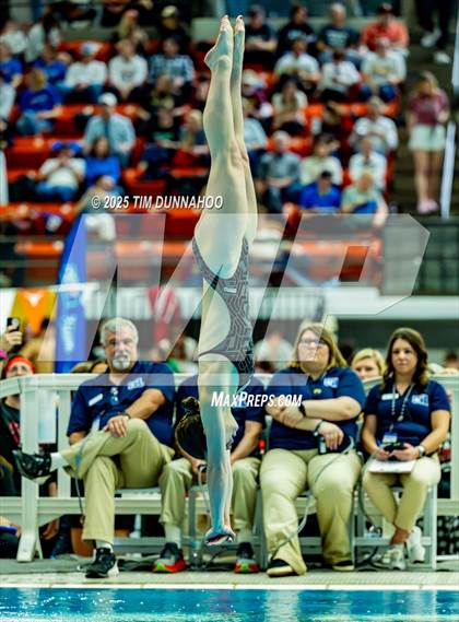 Thumbnail 2 in UIL 6A Swimming & Diving Finals (Diving) photogallery.
