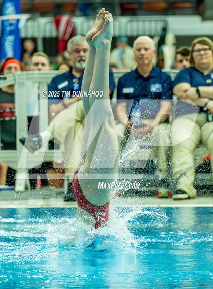 Thumbnail 1 in UIL 6A Swimming & Diving Finals (Diving) photogallery.