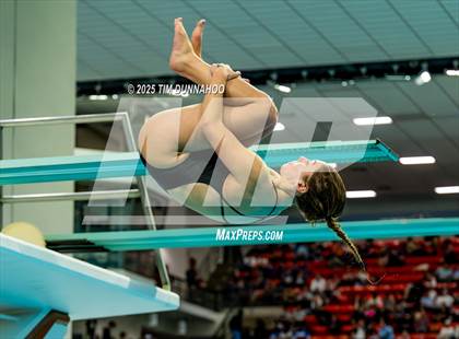 Thumbnail 1 in UIL 6A Swimming & Diving Finals (Diving) photogallery.