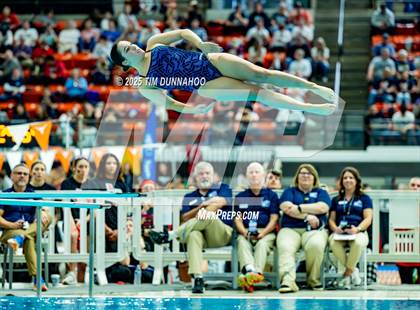 Thumbnail 2 in UIL 6A Swimming & Diving Finals (Diving) photogallery.