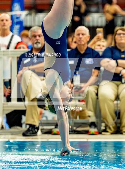 Thumbnail 2 in UIL 6A Swimming & Diving Finals (Diving) photogallery.