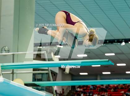 Thumbnail 2 in UIL 6A Swimming & Diving Finals (Diving) photogallery.