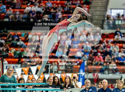 Thumbnail 1 in UIL 6A Swimming & Diving Finals (Diving) photogallery.