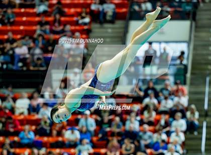Thumbnail 3 in UIL 6A Swimming & Diving Finals (Diving) photogallery.