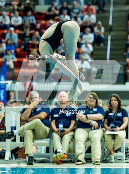 Thumbnail 3 in UIL 6A Swimming & Diving Finals (Diving) photogallery.