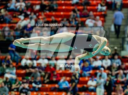 Thumbnail 1 in UIL 6A Swimming & Diving Finals (Diving) photogallery.
