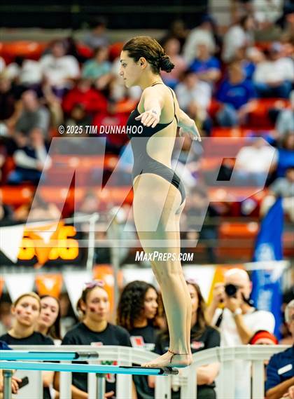 Thumbnail 2 in UIL 6A Swimming & Diving Finals (Diving) photogallery.