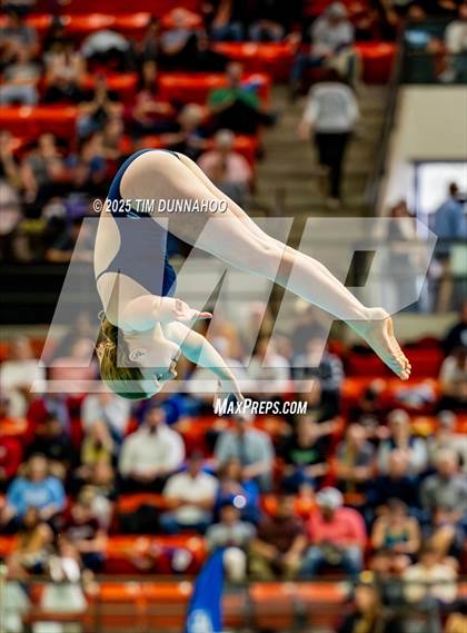 Thumbnail 3 in UIL 6A Swimming & Diving Finals (Diving) photogallery.