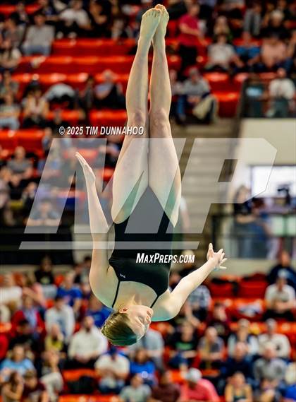 Thumbnail 1 in UIL 6A Swimming & Diving Finals (Diving) photogallery.