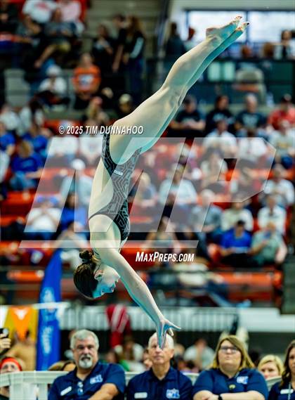 Thumbnail 1 in UIL 6A Swimming & Diving Finals (Diving) photogallery.