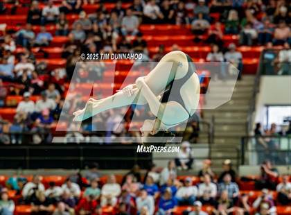 Thumbnail 3 in UIL 6A Swimming & Diving Finals (Diving) photogallery.