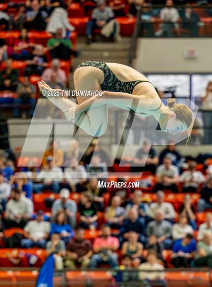 Thumbnail 1 in UIL 6A Swimming & Diving Finals (Diving) photogallery.