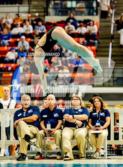 Thumbnail 2 in UIL 6A Swimming & Diving Finals (Diving) photogallery.