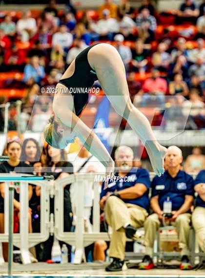 Thumbnail 3 in UIL 6A Swimming & Diving Finals (Diving) photogallery.