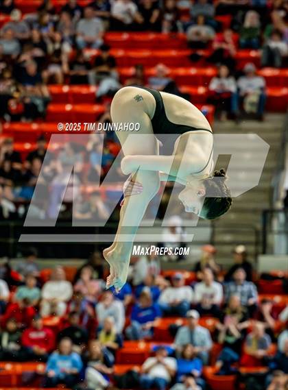 Thumbnail 1 in UIL 6A Swimming & Diving Finals (Diving) photogallery.